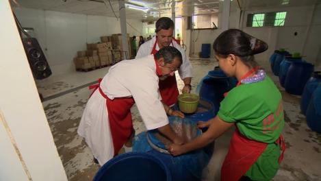 Asia Express. Simțurile concurenților o iau razna la fabrica de mâncare: E un miros puternic de pește putrezit!