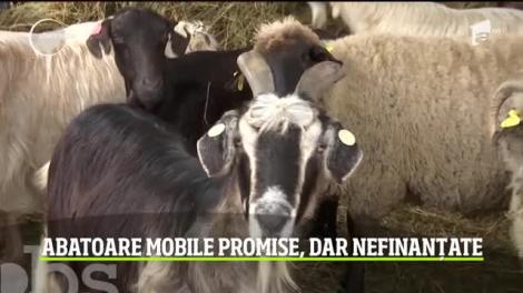 Abatoarele mobile promise în Gorj, aprobate dar nefinanțate