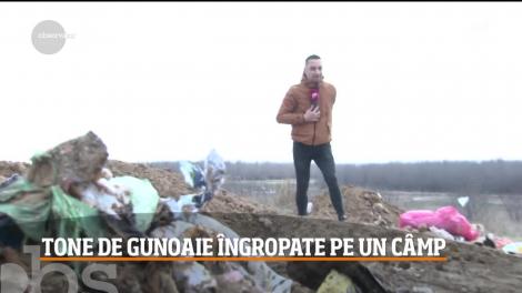 Mormane de gunoaie au fost îngropate pe un câmp dintr-o localitate prahoveană!