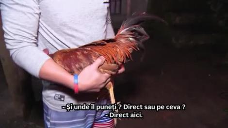 Ritual din Filipine, prima destinație Asia Express 3, șocant pentru Carmen Grebinișan și Alina Ceușan: "Au bătut un cocoș până la sânge, l-au pus în foc"