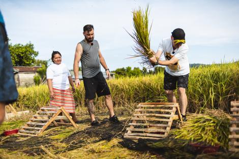 „Bată-te-ar norocul! Zăbăuca asta îmi aruncă cu semințe!”. Muncă grea pentru imunitate, la orez! Speak, cât pe ce să leșine! Răzvan Fodor, supărat! VIDEO