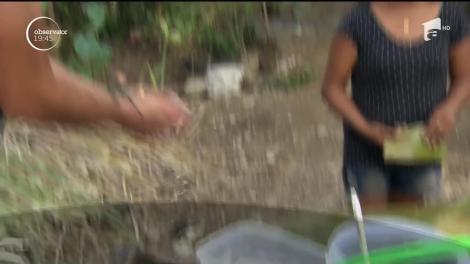 Peripeţiile concurenţilor de la Asia Express continuă. O  surpriza lasă vedetele cu ochii în lacrimi