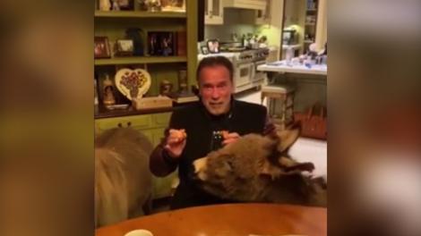 Arnold Schwarzenegger a găsit cel mai bun mod de a-și petrece timpul, în carantină! Are cea mai bună companie! „Vedeţi? Asta facem noi!” - VIDEO