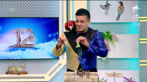Paco Magicianul a venit la Neatza! Unul dintre papagalii săi s-a ascuns &icirc;n platou!