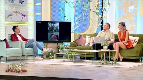 Smiley news. A scos câinele la plimbare cu drona