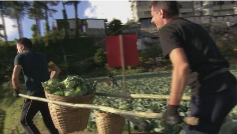 Jocul pentru amuletă. Concurenții se transformă în fermieri de varză. Iată ce echipă a câștigat