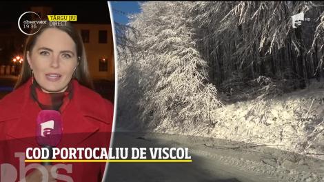 Cod portocaliu de viscol. Unde va ninge