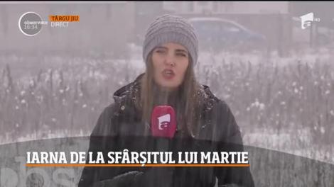 Zăpada "mieilor" căzută la sfârşit de martie a acoperit aproape trei sferturi din ţară