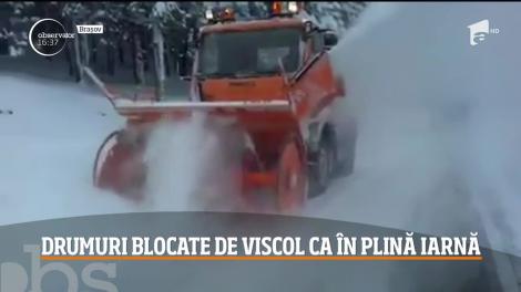 Codul portocaliu de viscol a paralizat sud-vestul ţării