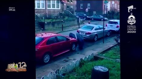 Smiley News. Soluție de a ieși afară și pe perioada carantinei