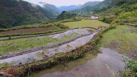 Plantatul orezului e o muncă greu de imaginat! Alexandru Abagiu de la Asia Express: „Dacă trăiesc viermii în el, merge şi pe faţa mea!”