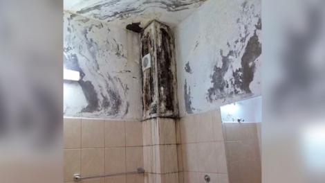 Carantină în condiții inumane, în Caraș Severin