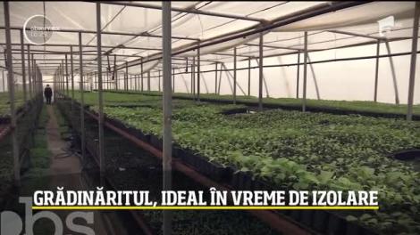 Grădinăritul, ideal în vreme de izolare