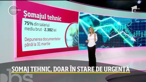 Șomajul tehnic, detaliul neștiut de români! Ce trebuie să afli și ce condiții există