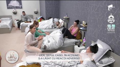 Lică, șeful casei, în acțiune! Ceilalți concurenți îi contestă capabilitățile de lider
