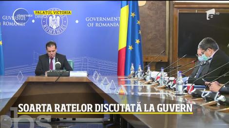 Soarta ratelor, discutată la Guvern. Noile condiții în care românii își pot amâna datoriile până la finalul anului