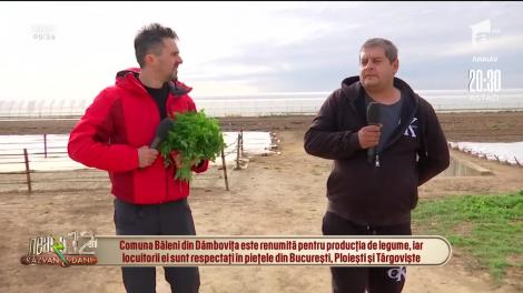 Soluţiile producătorilor de legume pe timpul stării de urgenţă