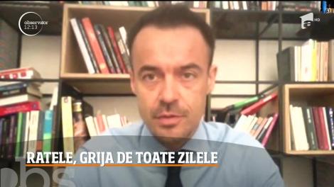 Răsturnare de situație. Românii care vor să îşi amâne ratele trebuie să demonstreze că le-au fost afectate veniturile. Cine sunt cei care vor beneficia de această măsură