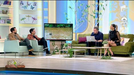 Smiley News. Înotătorul atacat de lebeda neagră