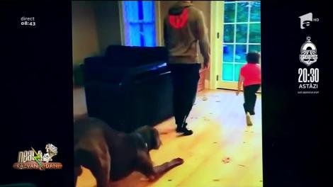 Smiley News. Activități în izolare