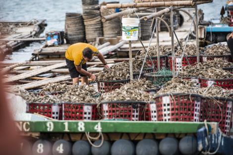 „În *** ***! Nu e suficient că ai o handicapată după tine?”. Adda, probleme mari cu un picior, în „Asia Express”, sezonul 3. O nouă ceartă cu soțul ei! VIDEO