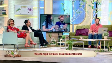 Viața de cuplu în izolare, cu Alex Velea și Antonia. Cum aratră o zi din viața lor