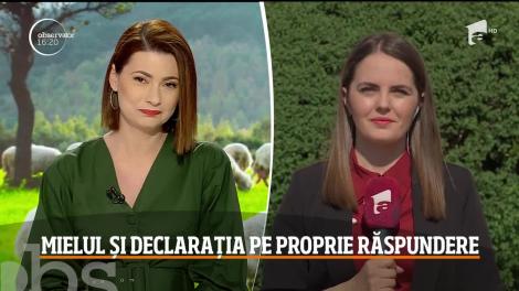 De unde putem cumpăra tradiţionala carne de miel pentru masa de Paşte?