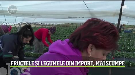 Criza cauzată de coronavirus s-a răspândit şi în agricultura europeană