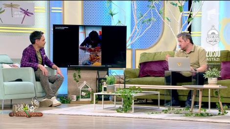 „E bun?”. Ce pot păți românii, dacă își enervează nevestele, cu mofturi la mâncare! Criză de râs, la „Neatza cu Răzvan și Dani” - VIDEO