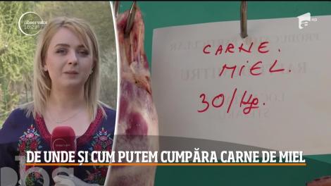 De unde și cum putem cumpăra carne de miel