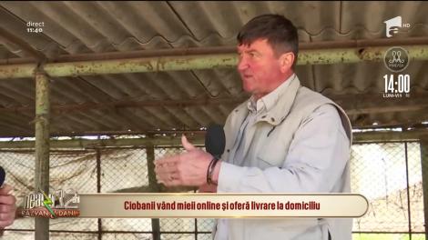 Ciobanii vând mieii online şi oferă livrare la domiciliu