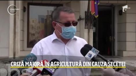 Criză majoră în agricultură din cauza secetei