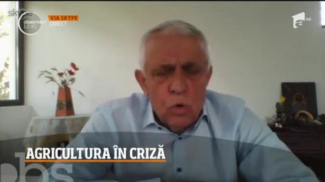 Agricultura în criză. Ce are de spus Ministrul Petre Daea