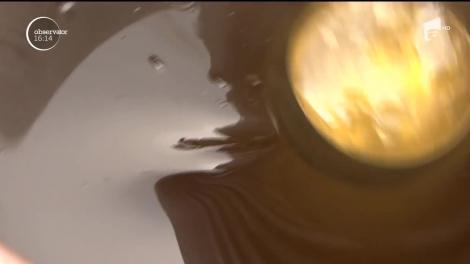 Problemele apicultorilor români