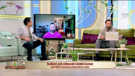 Ce putem face cu câine acasă, cât timp ne aflăm în izolare