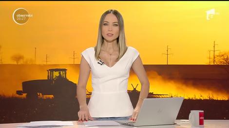 În Ţăndărei, agricultorii au plecat de acasă şi s-au mutat pe câmpuri, pe terenuri, pentru a îngriji producția