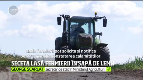 Seceta lasă fermierii în sapă de lemn