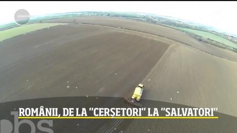 Românii au devenit din cerșetori, salvatori pentru plantațiile străinilor. Până acum erau alungați și acum sunt chemați