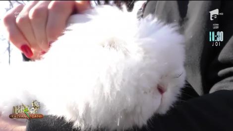 Sportiva româncă care are 27 de animale de companie! Andreea Panțuroiu: Este o nebunie de-a mea