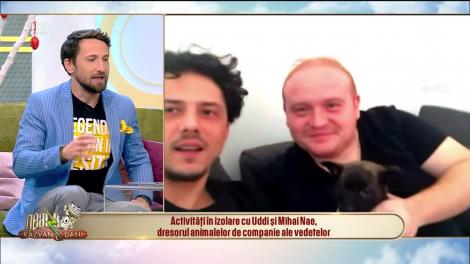 Activități în izolare cu Uddi și Mihai Nae, dresorul animalelor de companie ale vedetelor