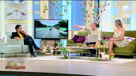 Smiley News. Încercări de accidente pe autostradă