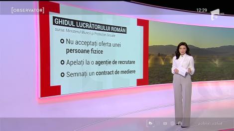 Ghidul lucrătorului român. La ce trebuie să fim atenți când semnăm un contract