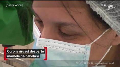 Seceta lasă agricultorii fără producţie