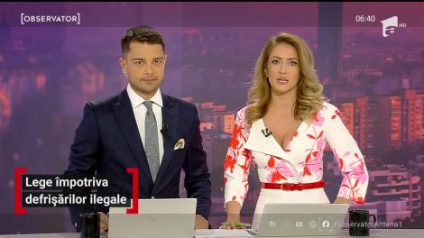 Ministrul Mediului vrea lege împotriva defrișărilor ilegale