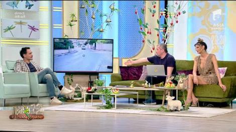 Smiley news: Un şofer din Israel a fost arestat după ce a intenţionat să dea peste o reporteriţă