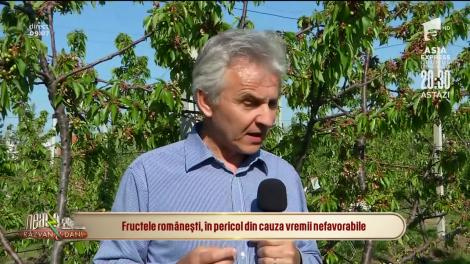 Fructele româneşti, în pericol din cauza vremii nefavorabile