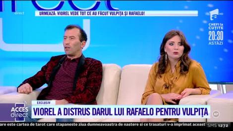 Tărăboi mai mare n-a fost niciodată! Mânios, Viorel a distrus cadoul Vulpiţei şi l-a încolţit pe Rafaelo