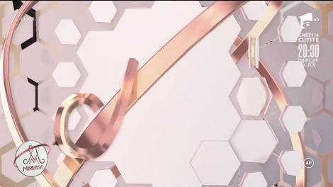 Dezvăluiri secrete despre rolul Andradei &icirc;n competiţie! "Eu am venit să-l susţin pe Ionuţ, nu pe Petronela!"