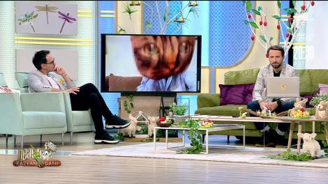 Cezar Ouatu, în izolare alături de motanul lui Nobel