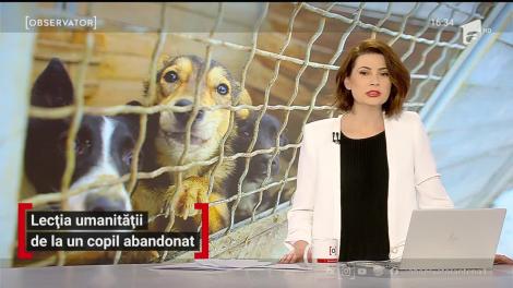 Un tânăr din Vâlcea reuşeşte să dea tuturor o adevărată lecţie de viaţă. Adolescentul se luptă pentru a le asigura un trai mai bun animalelor abandonate